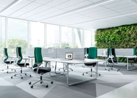 Tại sao nên trồng cây xanh trong văn phòng